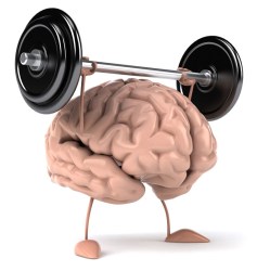 fit_brain
