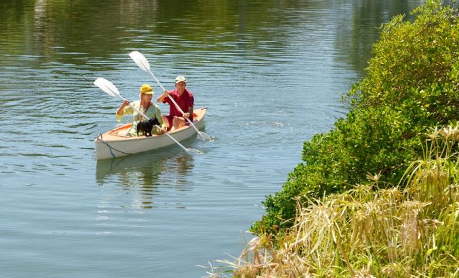 how-to-make-healthy-retirement-choices_0-660x400